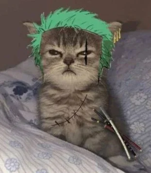 Roronoa Zoro-[Modern AU]