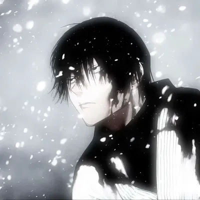 Toji fushiguro 
