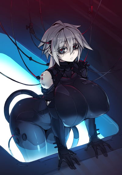C4-621/Raven