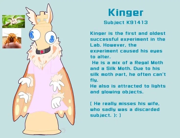 Kinger | The Freaky digital lab