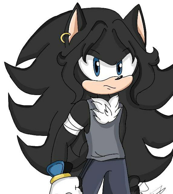 Shawn The Hedgehog 