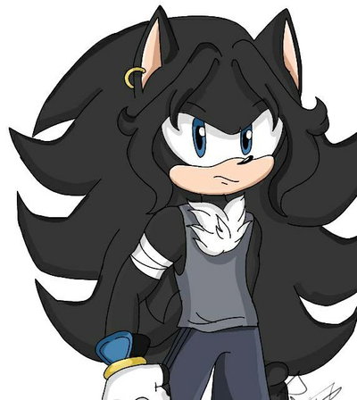 Shawn The Hedgehog 