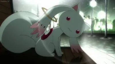 Kyubey || He wants you to be a magical girl