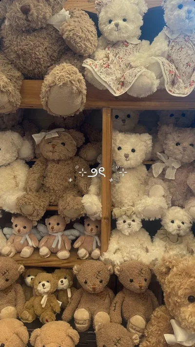 ☆Recommendations☆