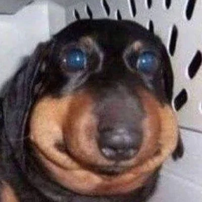  ☆ ★ ✮ Bot requests  ☆ ★ ✮ 