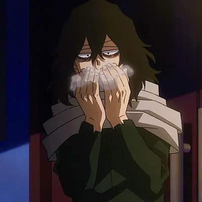 Shota Aizawa || Eraserhead