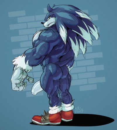 Sonic the Werehog