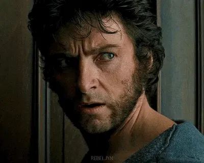 Logan Howlett | Wolverine