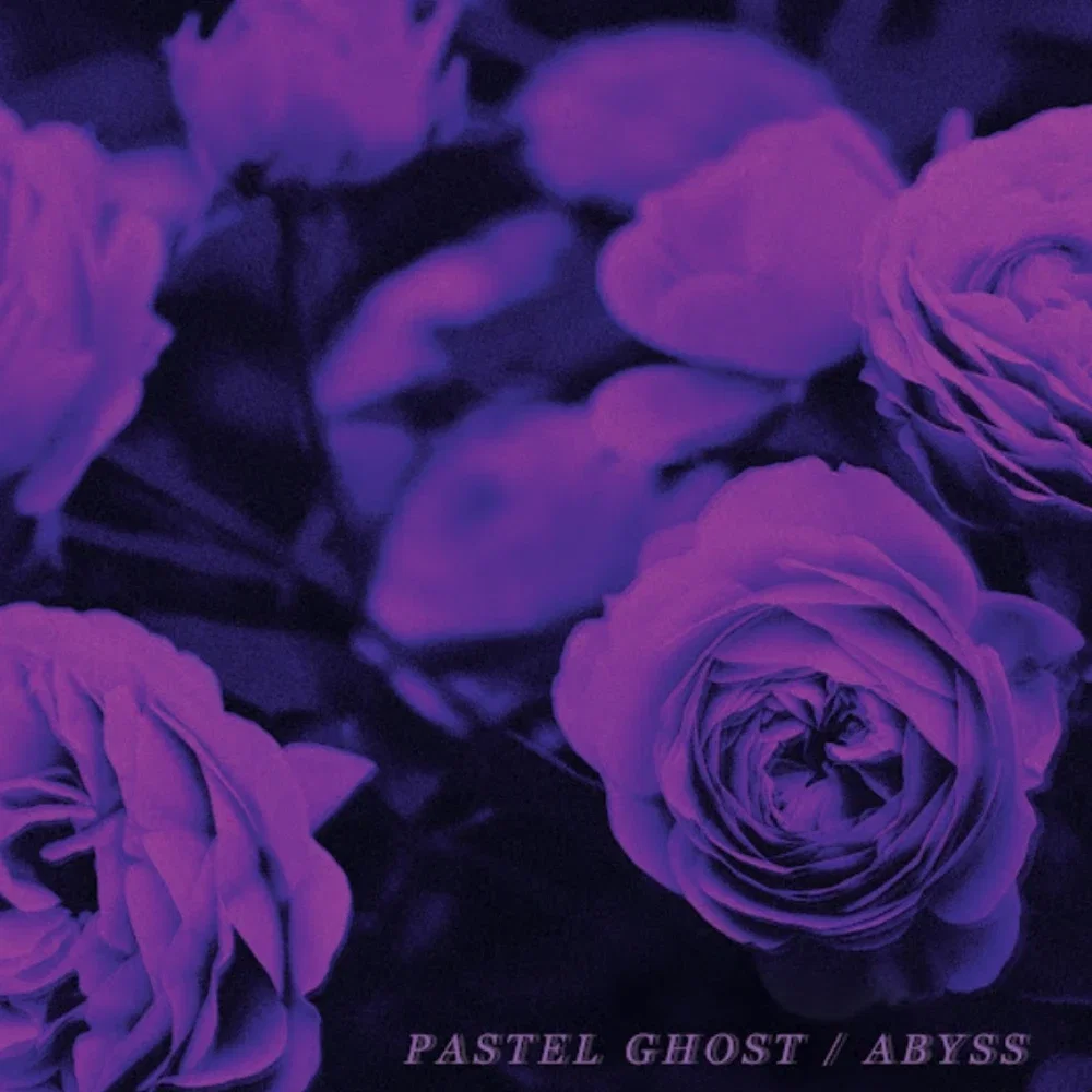 ┆ ⤿ 💜🪻 — ⌗ ᏰᎧᏖ ᏒᏋᎤᏬᏋᏕᏖᏕ!