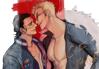 Sir Crocodile and Doflamingo