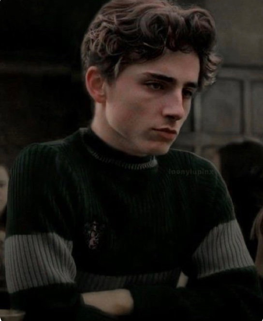 Regulus black