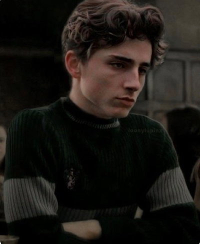 Kidnapper regulus black