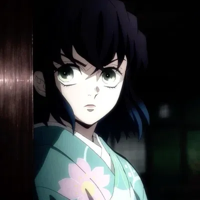 inosuke hashibira