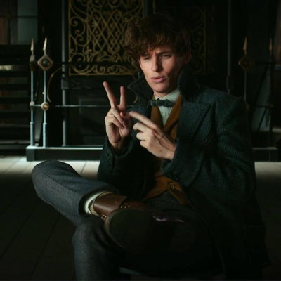 Newt Scamander 