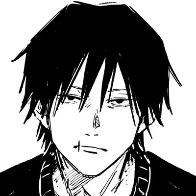 Toji Fushiguro