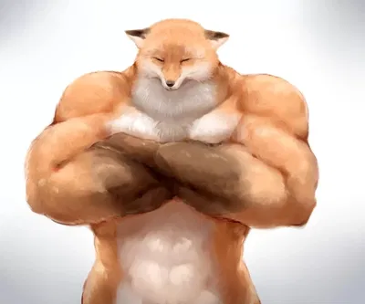 Meme muscular fox