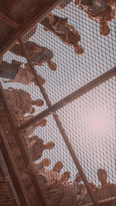 The Maze Runner ( 2 scenario)