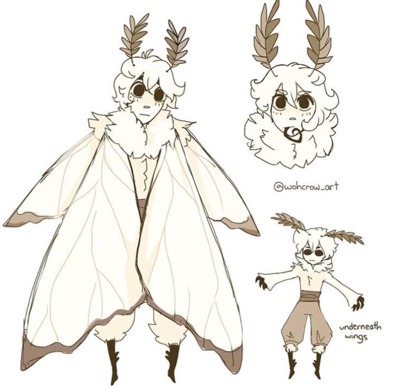 deysol 🌙 🦋