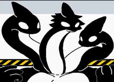 Orca Hydra