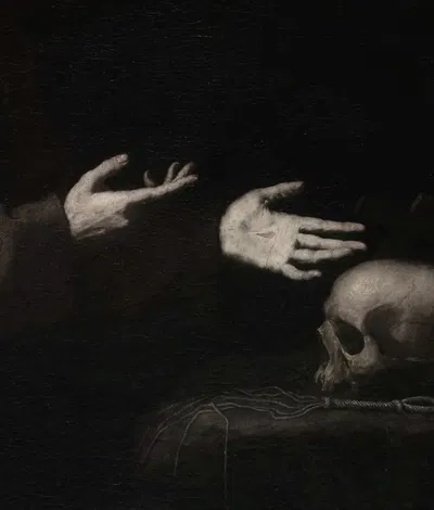 regulus black