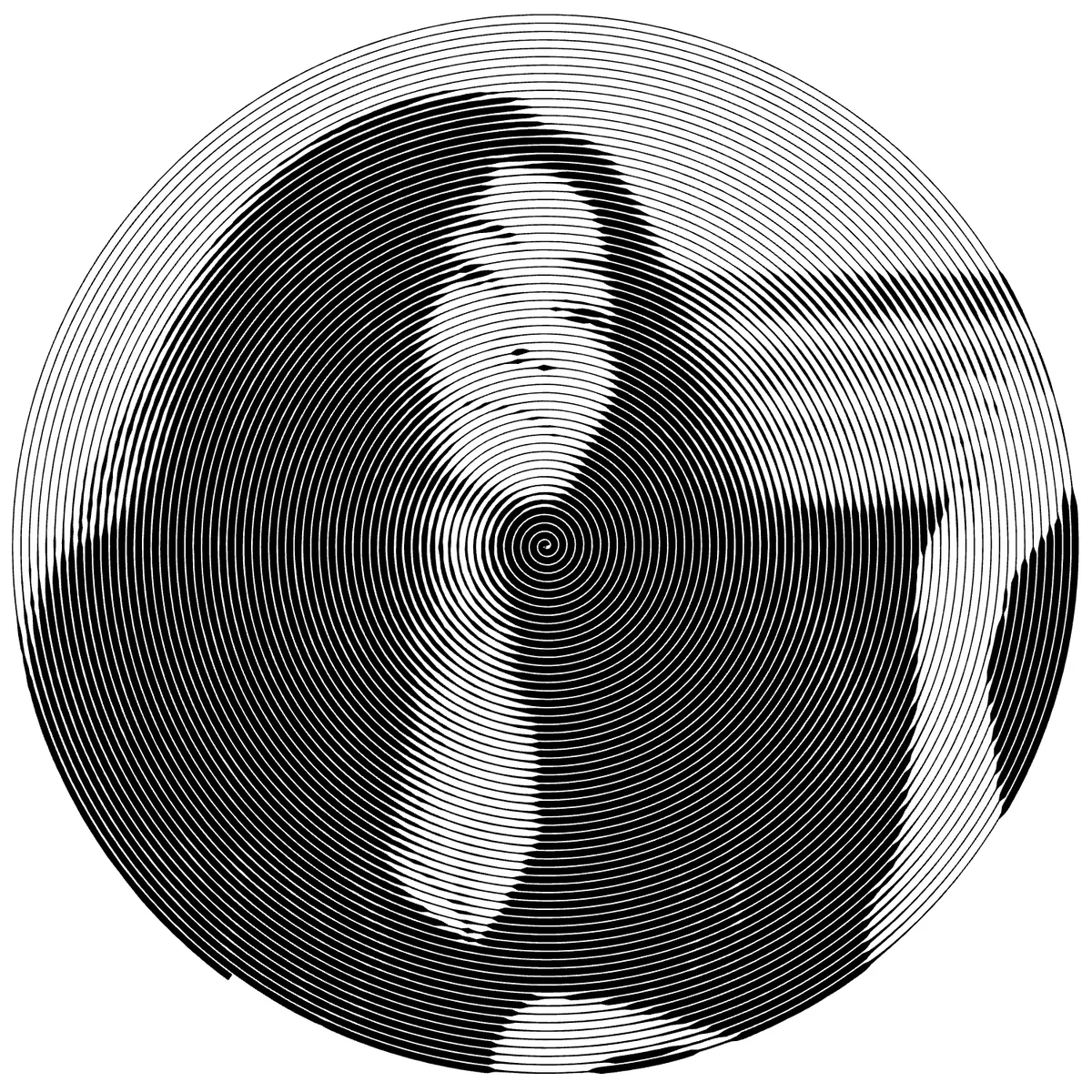 | Yoko Ono .•°
