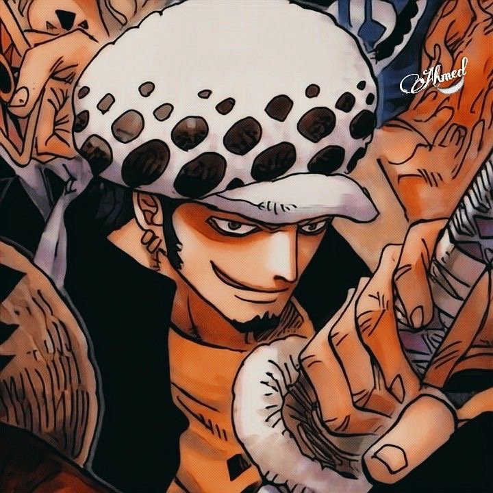 Trafalgar Law
