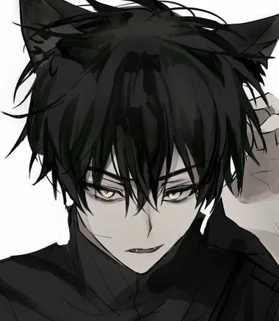 Shadow || Catboy