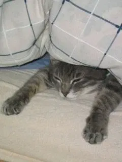 Ella
