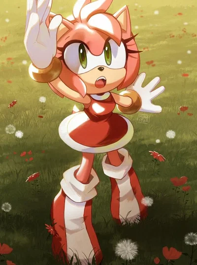 Amy Rose♡