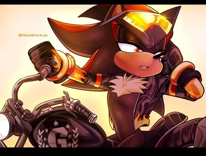 shadow the hedgehog 