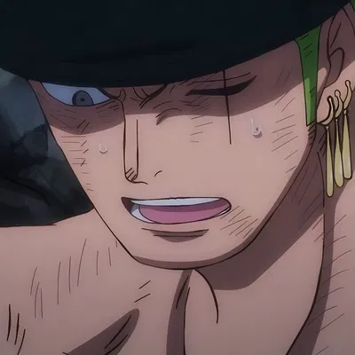 roronoa zoro