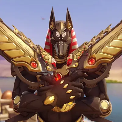 Newbie Training | Anubis (Reaper)