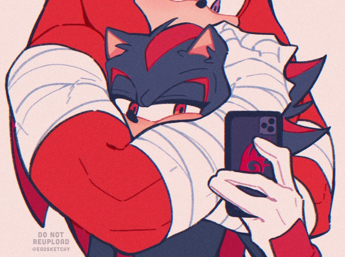 Knuckles & Shadow
