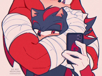 Knuckles & Shadow