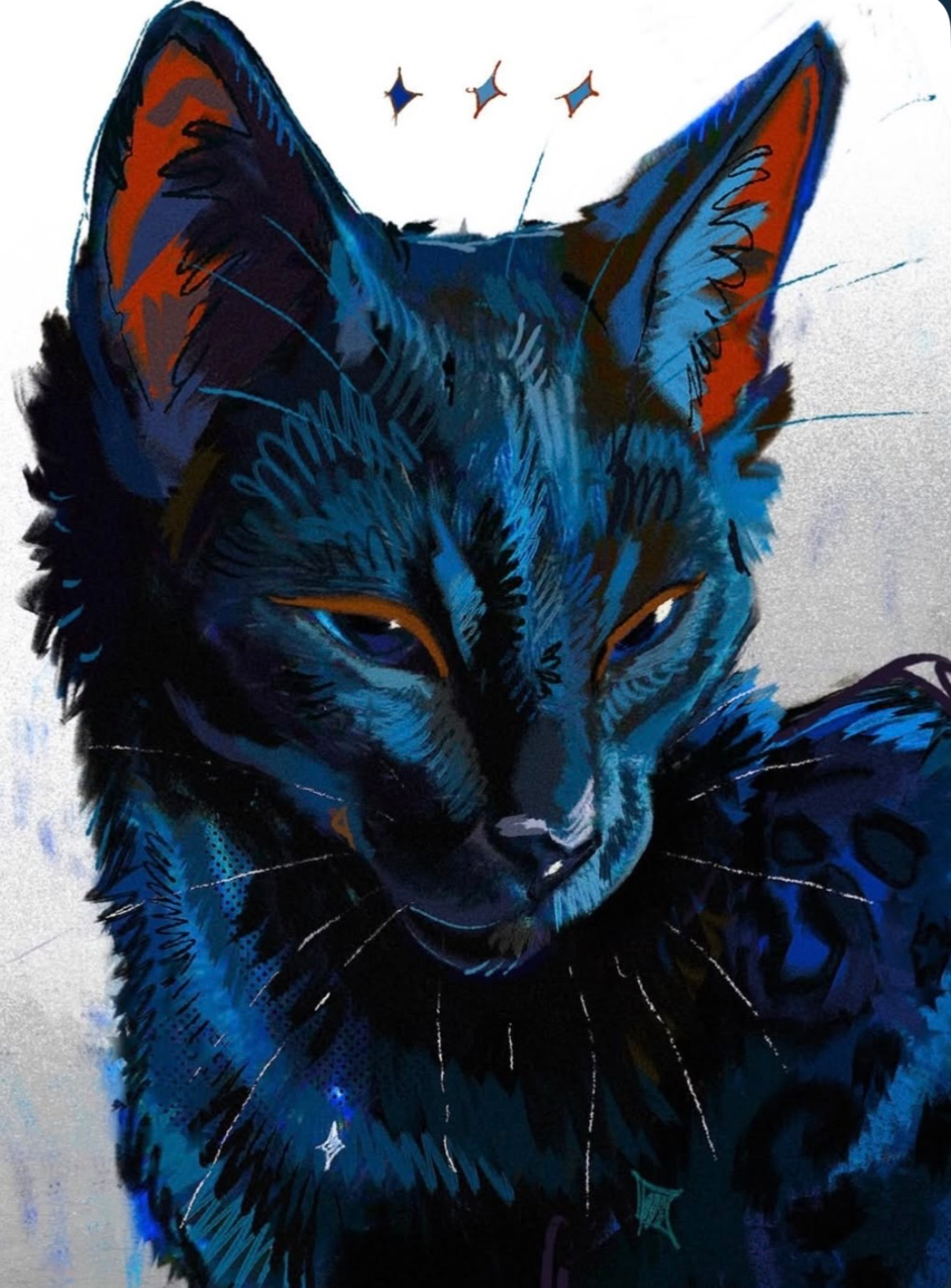 ⋆ ̊꩜。 Turned into a cat ⋆ ̊꩜。
