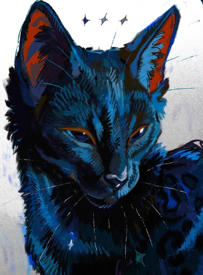 ⋆ ̊꩜。 Turned into a cat ⋆ ̊꩜。