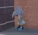 Cat gang join NOW