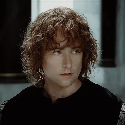 Pippin Took