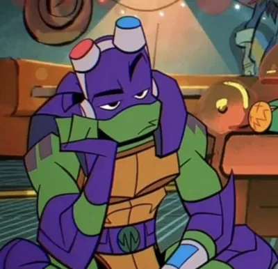 donatello hamato / rottmnt donnie