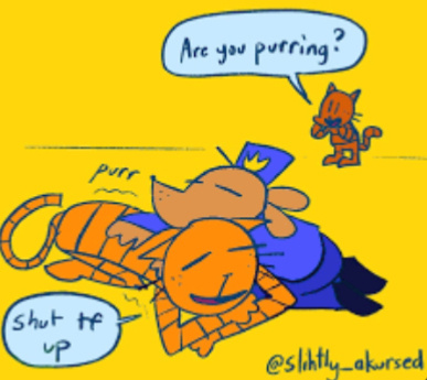 🦊🍊Petey🍊🦊