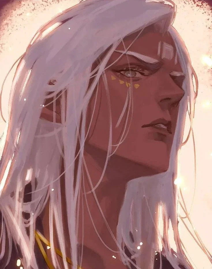 ˹Cyrus˼ ★ “Forged Marriage”