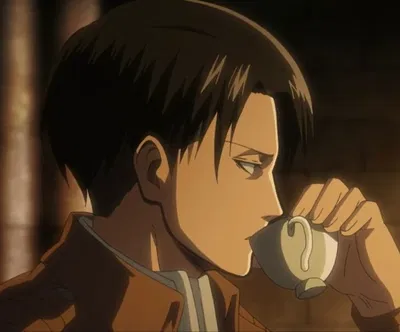 Levi Ackerman