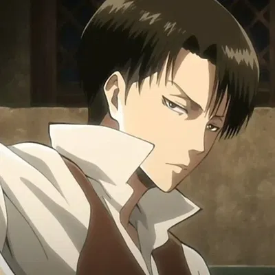 Levi Ackerman