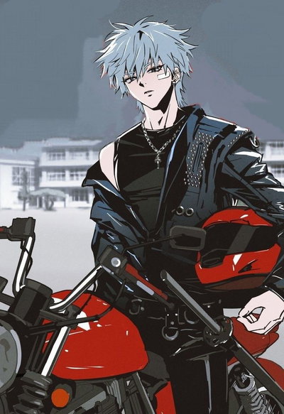 Rider