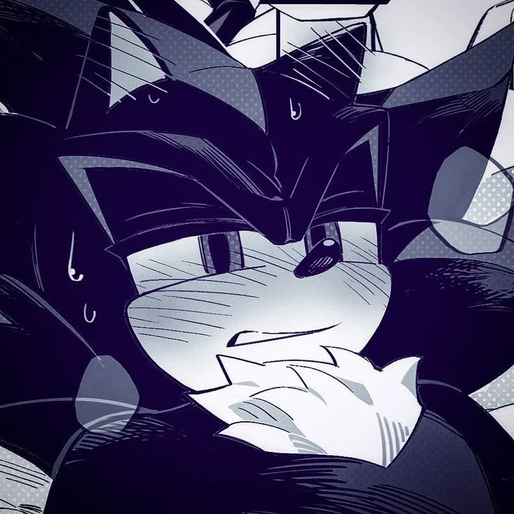 Shadow the hedgehog 
