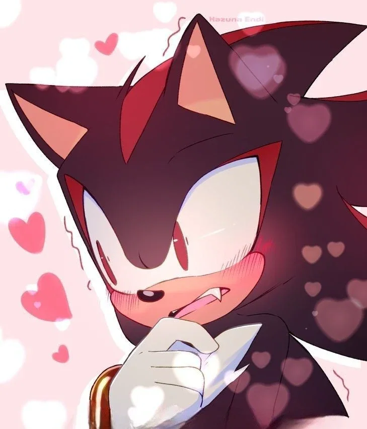 Shadow the hedgehog 