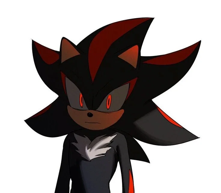 Obsessive!Shadow the hedgehog 