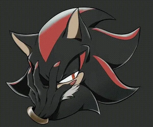 Shadow the hedgehog 
