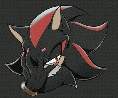 Shadow the hedgehog 