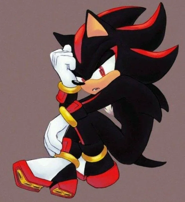 Shadow the hedgehog 